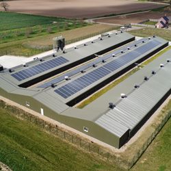 Breeder Houses - C.E. Davidson Ltd