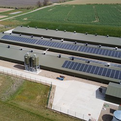 Breeder Houses - C.E. Davidson Ltd