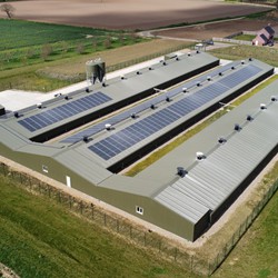 Breeder Houses - C.E. Davidson Ltd
