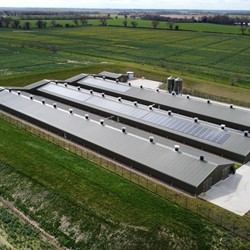 Breeder Houses - C.E. Davidson Ltd
