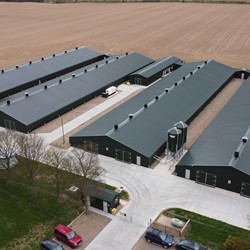Breeder Houses - C.E. Davidson Ltd