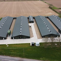 Breeder Houses - C.E. Davidson Ltd
