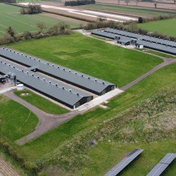 Breeder Houses - C.E. Davidson Ltd
