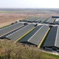 Broiler Houses - C.E. Davidson Ltd