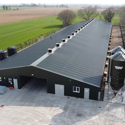 Broiler Houses - C.E. Davidson Ltd