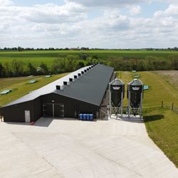 Free Range Houses - C.E. Davidson Ltd