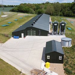 Free Range Houses - C.E. Davidson Ltd