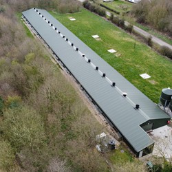 Free Range Houses - C.E. Davidson Ltd