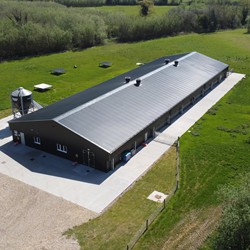 Free Range Houses - C.E. Davidson Ltd